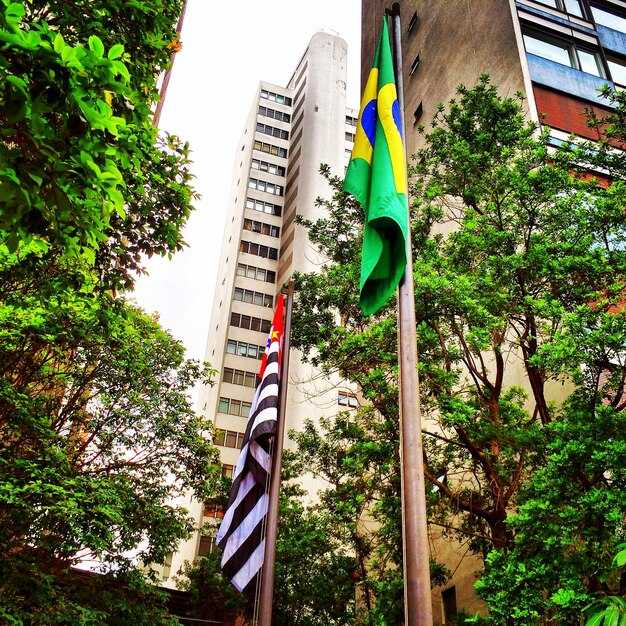 Nature and lifestyle: plan your move around Brazil's biodiversity and outdoor activities