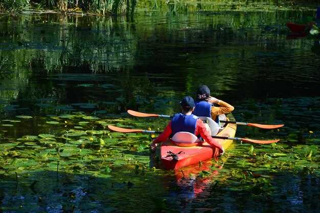 Florida Water Tours: Best Guided Kayak & Manatee Tours