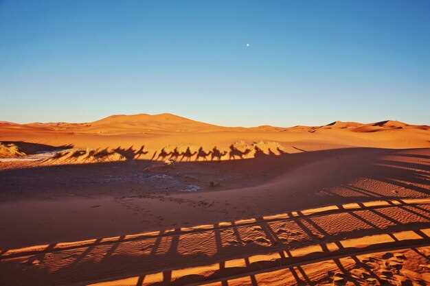 From Marrakech: Agafay Desert Quad Biking at Sunset with Dinner Show