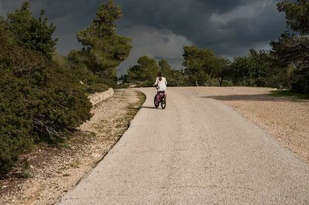 From Nice: A 2-Hour Scenic Drive by a Three-Wheeled Vehicle