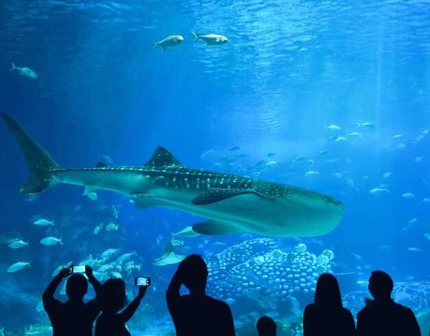 From the Reef Shark to the Exotic Cassowary - Explore Madrid's Zoo Aquarium From the Reef Shark to the Exotic Cassowary: Explore Madrid's Zoo Aquarium