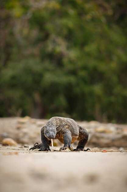 One-Week Land-Based Plan and Cruise Comparison: Is a Galapagos Cruise Right for You?