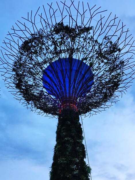 Gardens by the Bay Super Trees and OCBC Skywalk: The Ultimate Singapore Guide