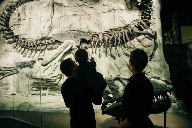 Get Curious at the Griffin Museum of Science and Industry