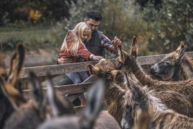 Sichern Sie sich Ihre Tickets für den Central Park Zoo: Entdecken Sie Tierwelt im Herzen von NYC