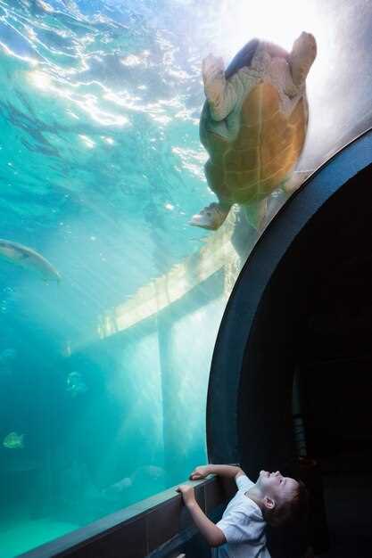 Glass Bottom Boat Tours – Explore Marine Life and Coral Reefs
