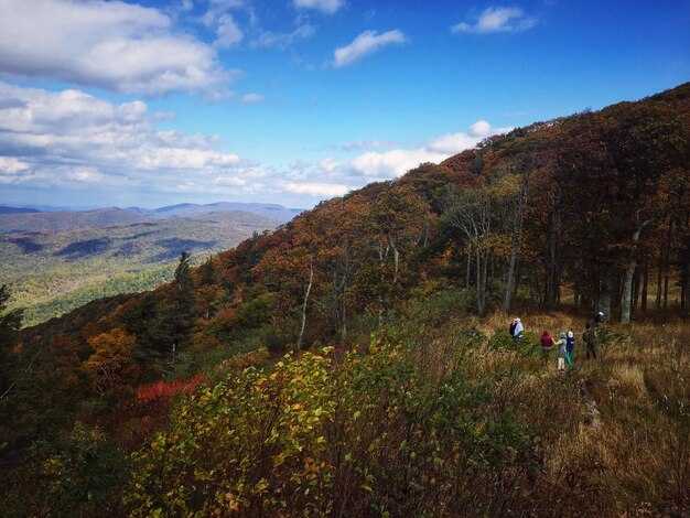 Guatapé Tour with Alto del Chocho Farm Visit – Scenic Day Trip Guatapé Tour with Alto del Chocho Farm Visit – Scenic Day Trip