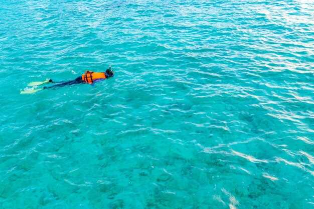 Itinerary and safety briefing for a half-day dive