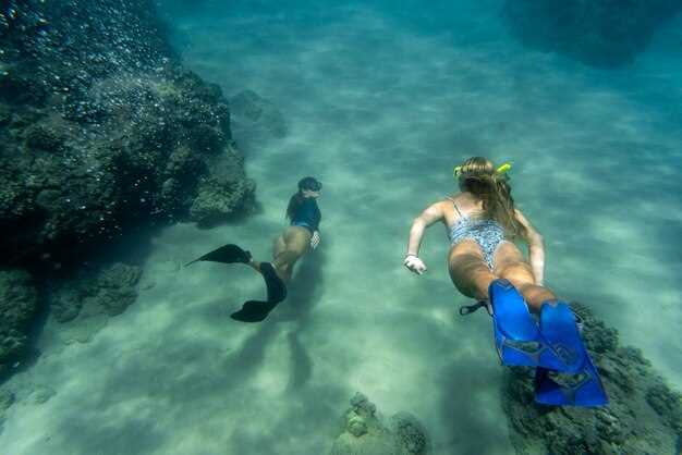 Half-Day Scuba Diving in Tenerife from Abades Beach