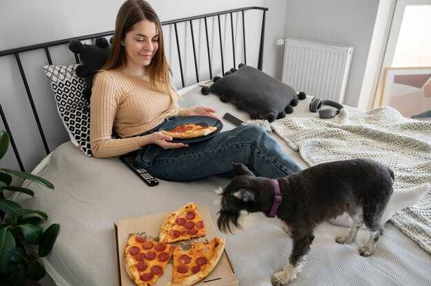 Which Chains Offer Free Pet Stays Across All Properties