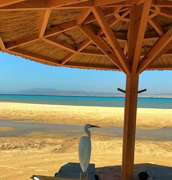 Best-value hotels within a 5-minute walk to S-Cape Beach