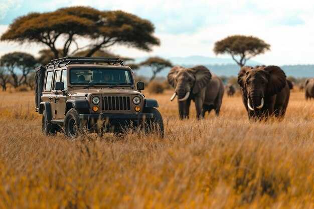Wie man eine Afrika-Safari auswählt: Alles, was Sie wissen müssen