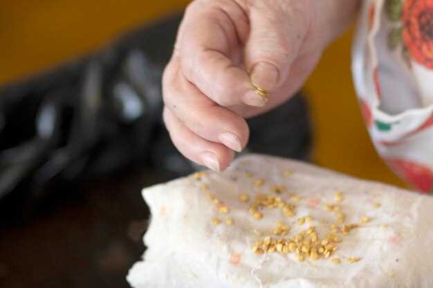 Drying, Storage, and Shelf Life of Homemade Rice Paper