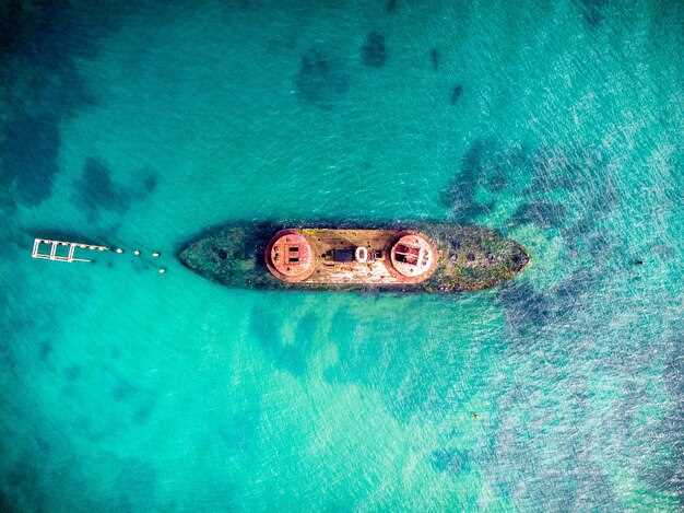 Hurghada Private Speedboat Swimming and Dolphin Watching - Exclusive Marine Tour