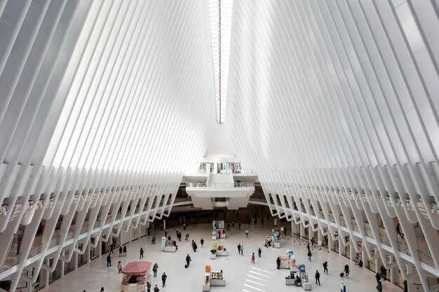 Where to find lounges, dining, and services inside the terminal
