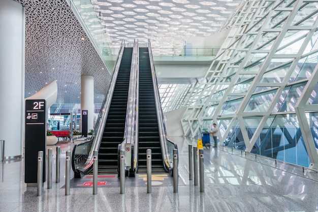 Inside Portland International Airport's New Tree-Lined Main Terminal