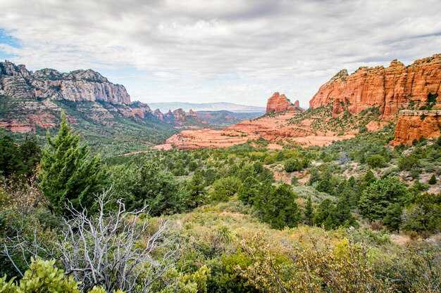 Crowd Patterns and Timing: When to Visit the Most Visited NPS Sites to Avoid Lines