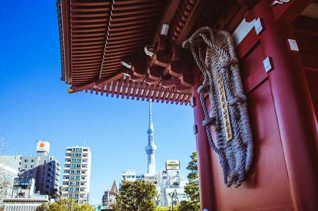 Pokoje Gościnne i Apartamenty: Układ, Komfort i Widoki