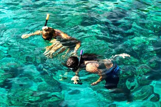 Wrecks and reef dives near Key Largo: depths, currents, and visibility