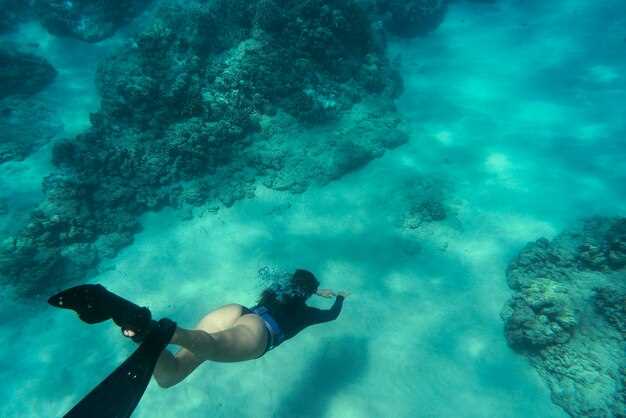 Key Largo Adventures – Ultimate Snorkeling, Diving &amp
