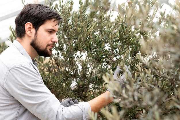 Kleanthi Olive Farm Guided Tour and Greek Olive Oil Experience