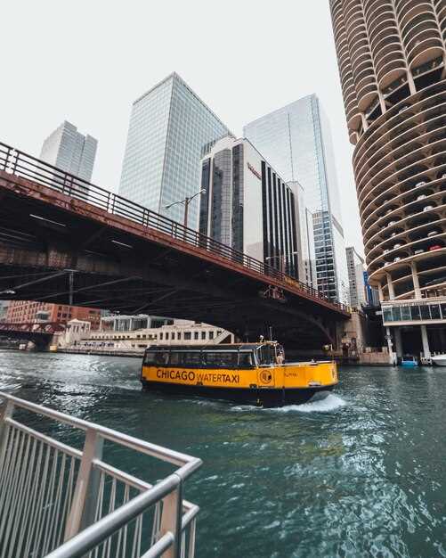 Dinner Cruises: Dining with a View