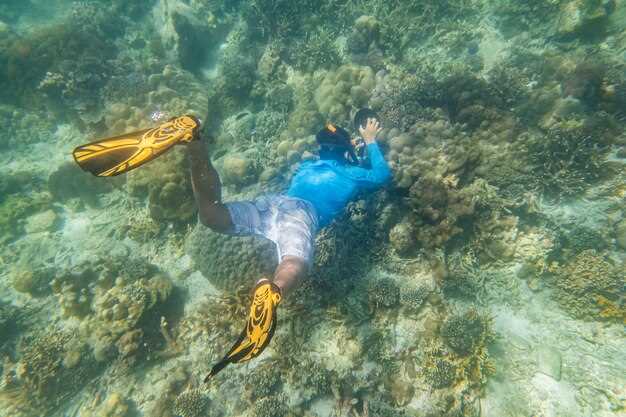 How to pick a Lanzarote dive operator
