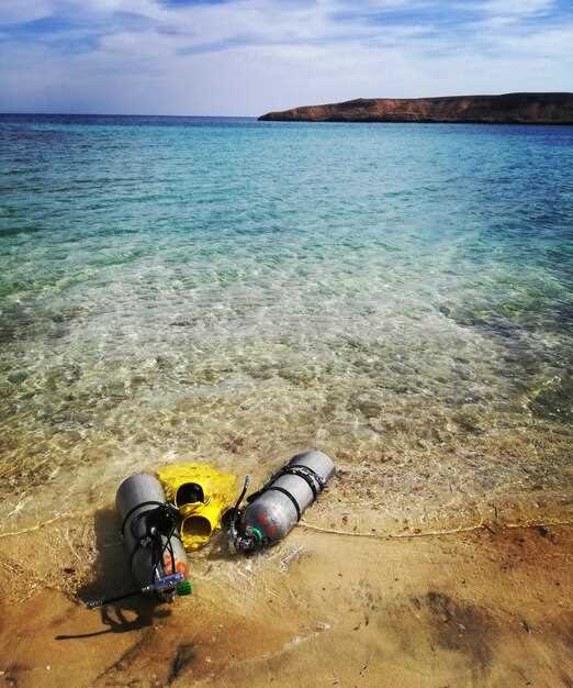 Lanzarote Diving – Best Scuba Spots & Tips in the Canary Islands