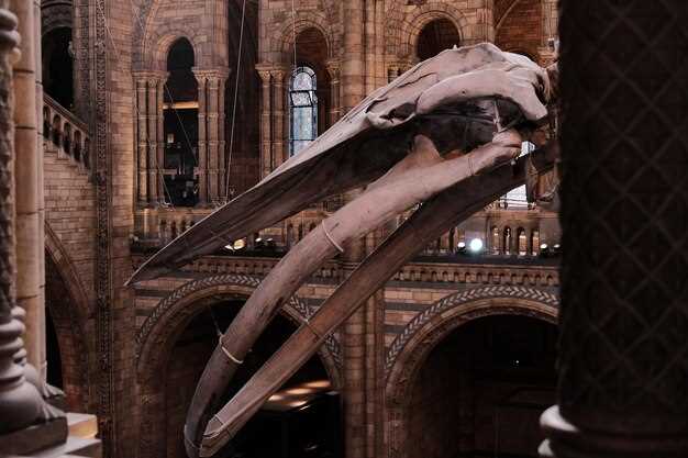 Lonja de la Seda Valencia: Silk Exchange, Gothic Architecture & UNESCO