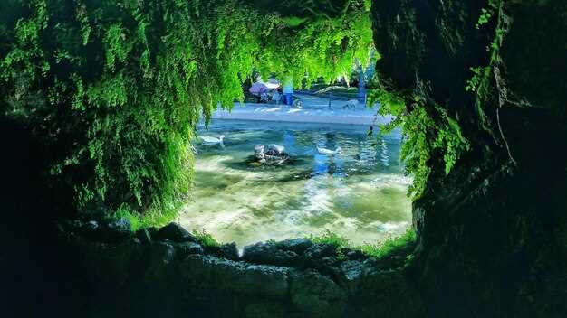 Magic Island Lagoon: Discover Crystal Waters, Caves &amp