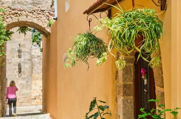 Best time to visit: seasons, light, and crowd management