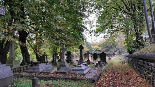 Melaten Cemetery Guided Tour with All Senses in Cologne