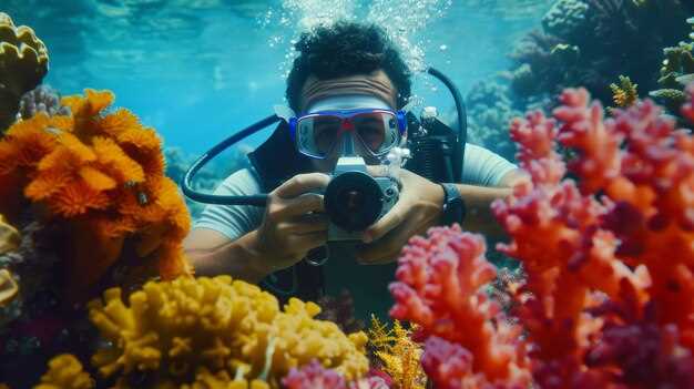 Gear and Safety: Mermaid Tail, Snorkel Gear, Cameras, and On-Site Support