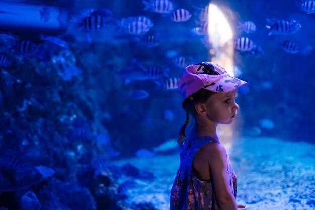 Mermaid Video Shoot and Snorkel Adventure: The Ultimate Underwater Experience