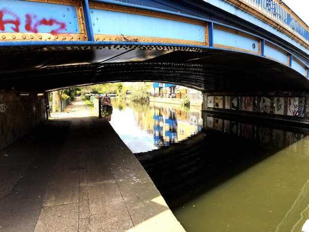 Miami Bus Tours: Best Hop-On Hop-Off City Tours & Top Sights