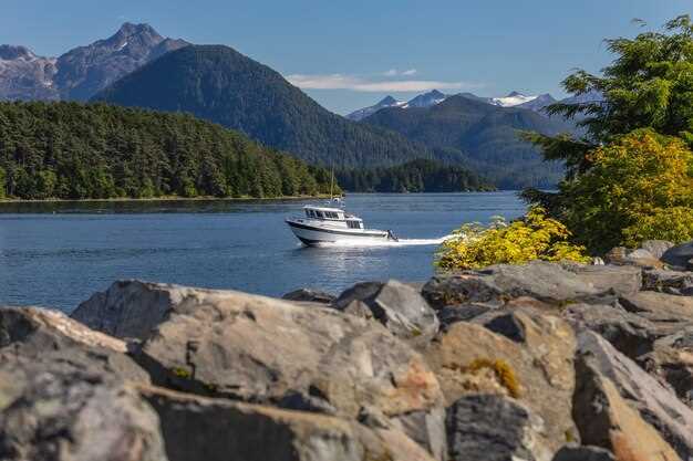 Milford Sound Cruises - Best Boat Tours in Fiordland, NZ