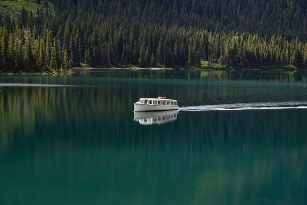 Milford Sound Premium Coach and Lunch Cruise from Te Anau – Day Trip