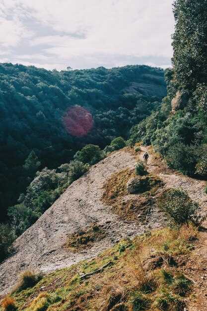 Historical Landmarks Along the Ridge: Planning Visits and Reading Signs
