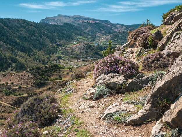 Montes de Málaga: Hiking Trails, Nature, and History in Málaga's Scenic Mountain Range