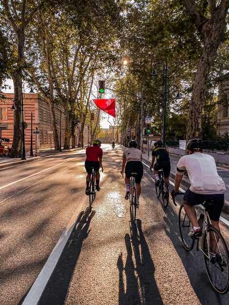What’s included in the 3-hour itinerary (bike, helmet, guide, and stops)
