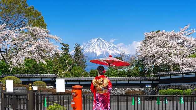 Mt. Fuji Private Tour from Tokyo - Private Guided Day Trip