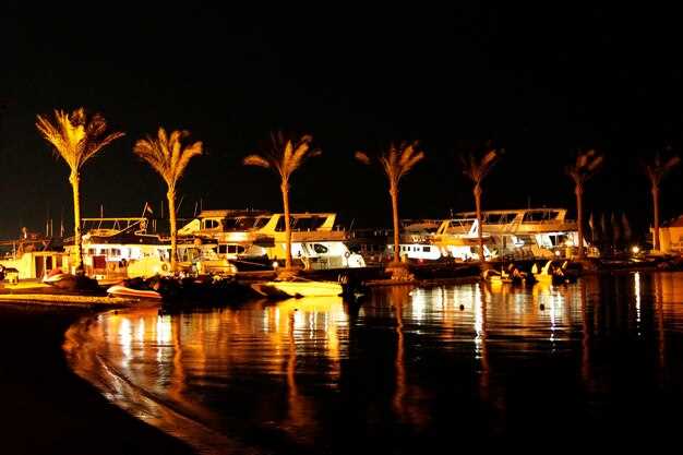 Muscat Private Evening City Tour with Pickup from Hotels and Port