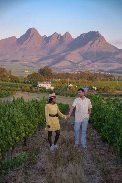Napa Tourist Guide - Best Things to Do, Wineries & Travel Tips Napa Tourist Guide: Best Things to Do, Wineries & Travel Tips