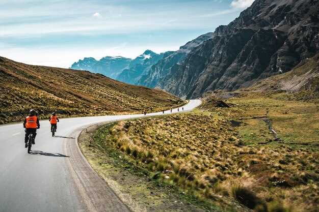 Nelson Bike Tours - Guided and Scenic Adventures in Nelson, New Zealand