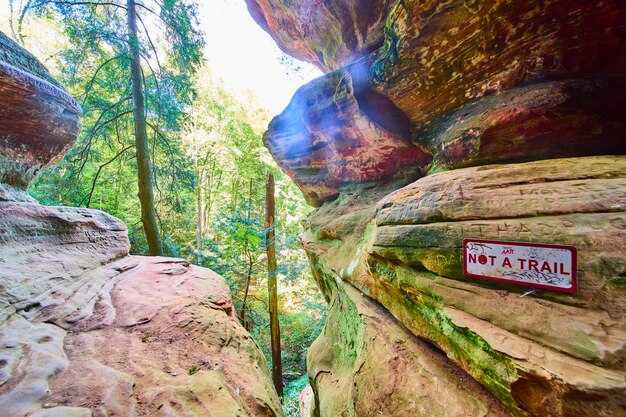 New River Gorge National Park - 5 Must-Know Facts About America's Newest National Park New River Gorge National Park: 5 Must-Know Facts About America's Newest National Park