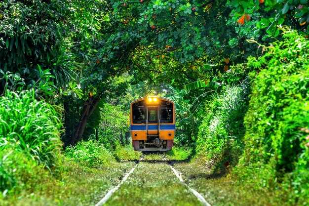 Ninh Binh Jeep Tours from Hanoi – Jeep, Boat & Daily Life Experiences