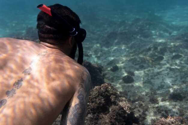 One Day Komodo Island Tour - Snorkeling, Wildlife &amp