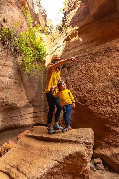 Petra Day Schedule: Siq Entrance, Treasury, Monastery – Best Times to Visit