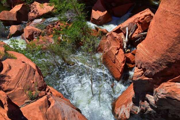 Onkaparinga River National Park: Top Trails, Wildlife &amp