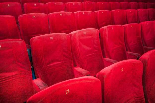 Accessibility and Access Performances: Wheelchair Seats, Assistive Devices, and Entry Routes